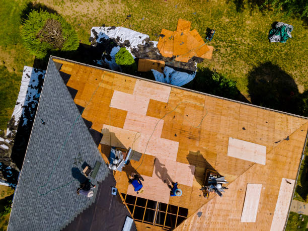 Trusted Dawsonville, GA Roofing Contractor Experts
