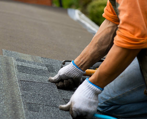 Best Metal Roofing Contractor  in Dawsonville, GA